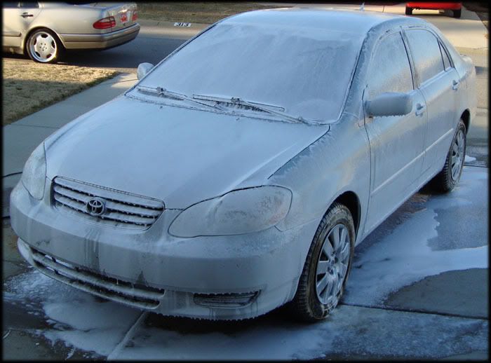 corolla_1.jpg