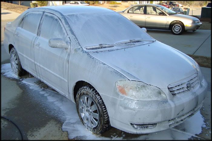 corolla_4.jpg