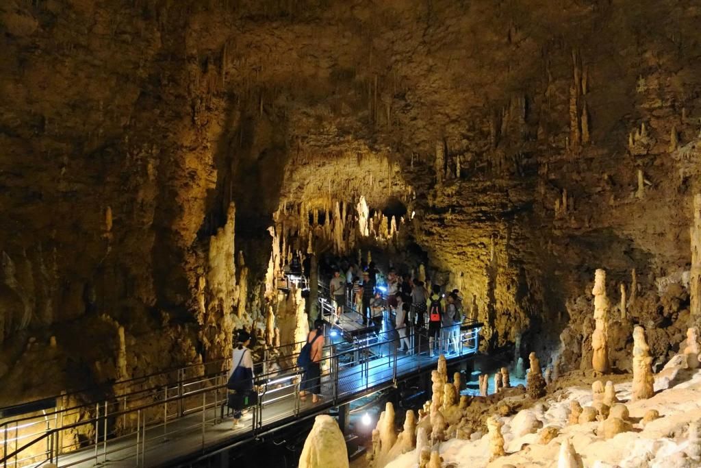 photo 10603847_783011845096175_1707474826508222303_o_zps6ec89a95.jpg