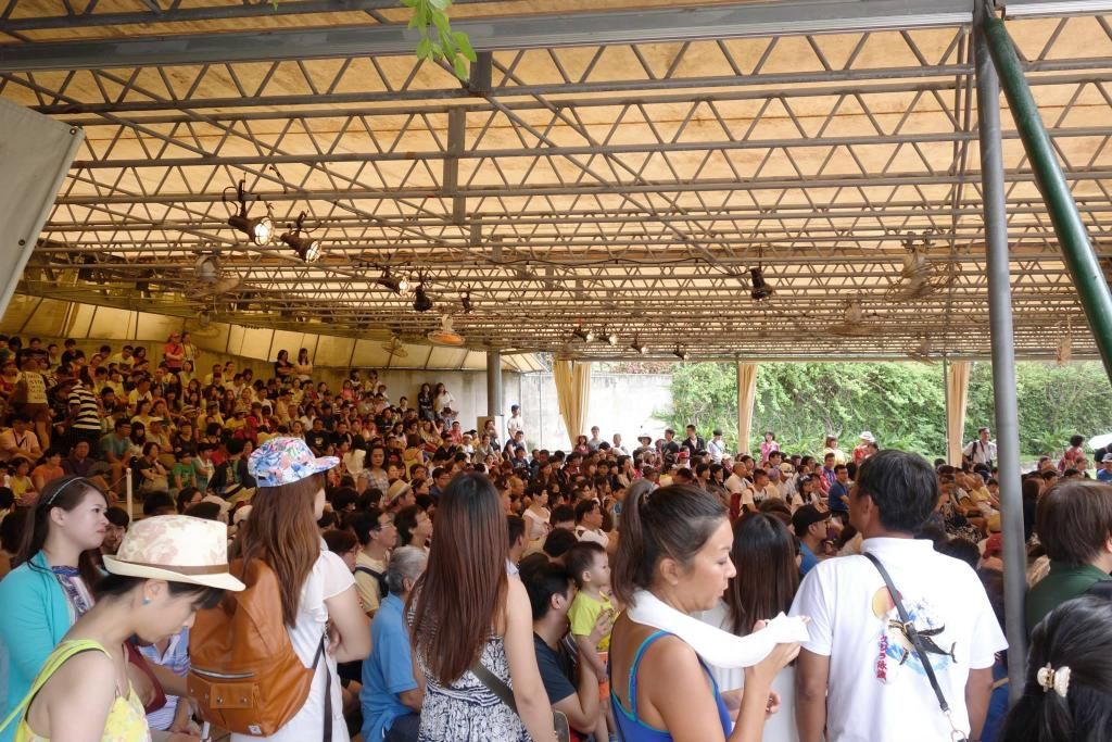 photo 1960896_783013278429365_5565902629855089505_o_zps4fbb2a3c.jpg