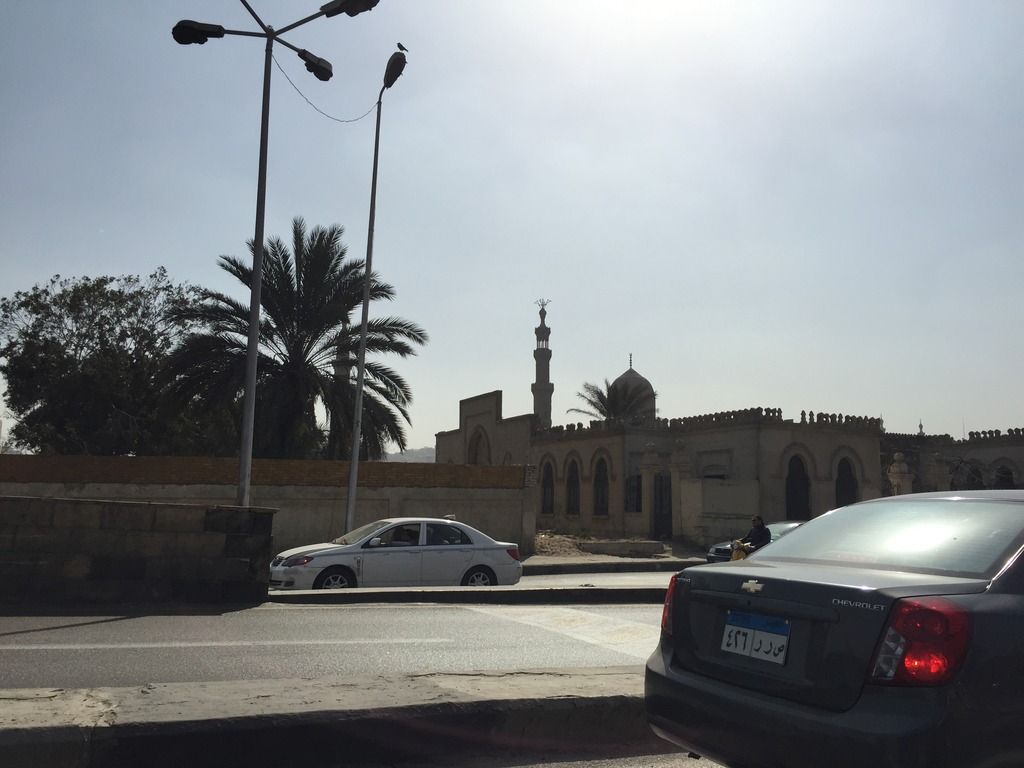 photo 007_zpsow6it6iz.jpg