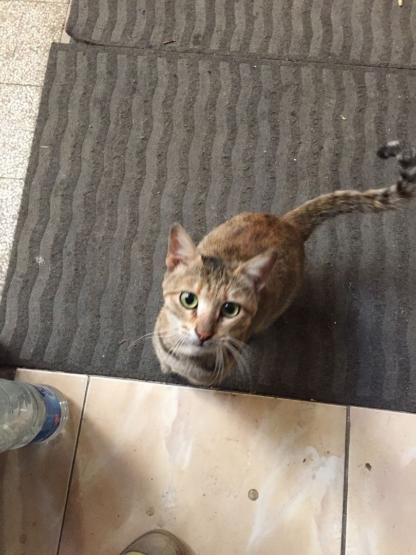 photo 066_zpsn79jcntn.jpg