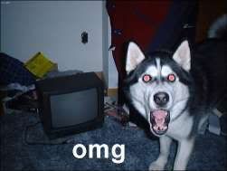 omg.jpg