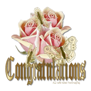 Congrats/pink roses/gold butterflies