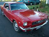 misc044.jpg mustang image by litlpkdevil