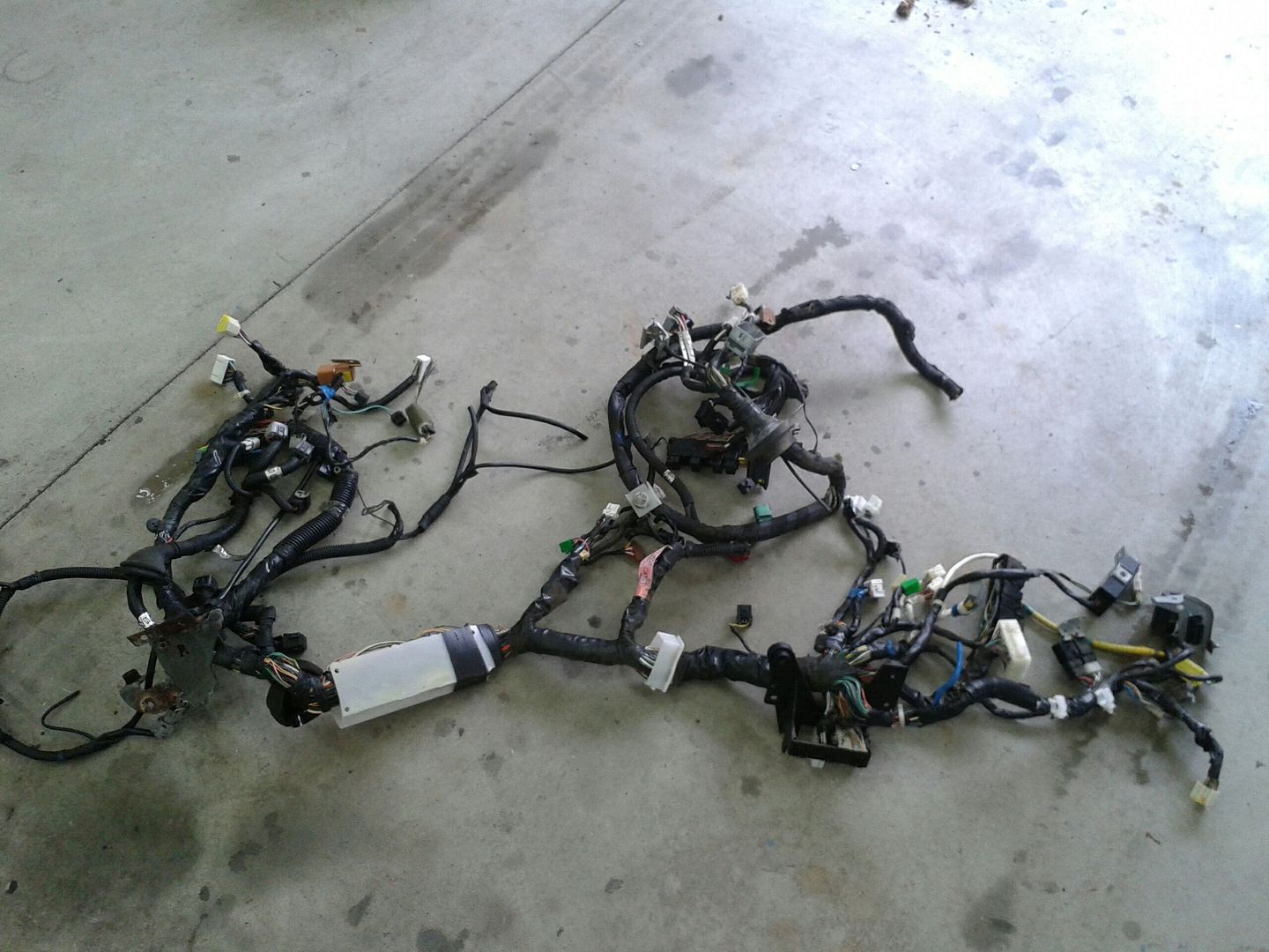 Image may have been reduced in size. Click image to view fullscreen.