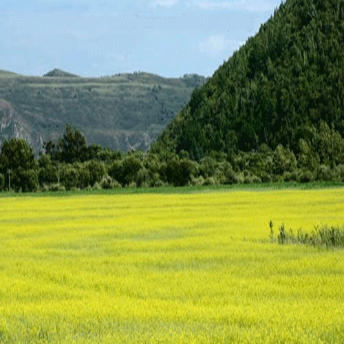 Does rain affect long range accuracy — Member Forums