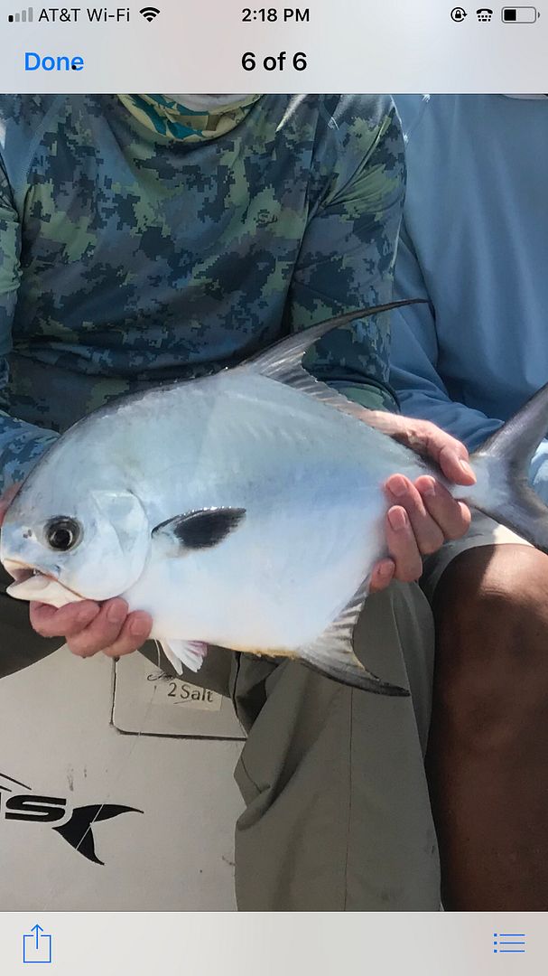 247901BE-9815-456F-ACB2-688561205D51.jpe