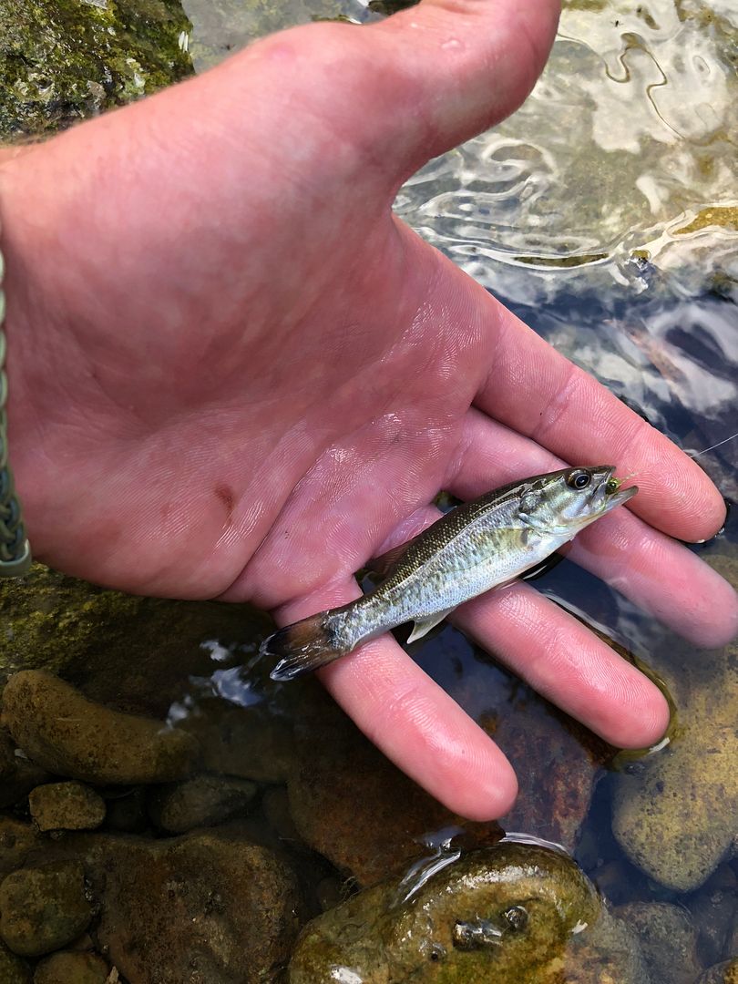 AA1435E8-5D33-4BE9-B16D-758CBDC310ED.jpe