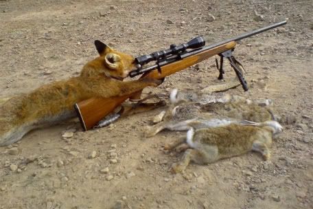 foxhunt