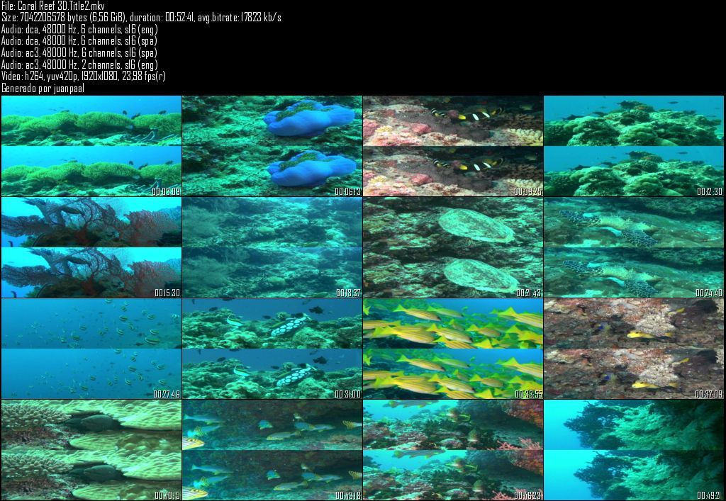 CoralReef3DTitle2 zpsc2b6cfa8 - Fascination Coral Reef 3D (Part 1-2) (2011) [BDRip 1080p] [Half OU] [DTS Cast/En Ac3 Lat] [MKV]