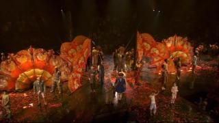 PDVD 014 zps884b7976 - Cirque du Soleil - Mundos Lejanos [La Película] (2012) [DVD9] [ES/IN] [Subt. ES/IN] [PAL]