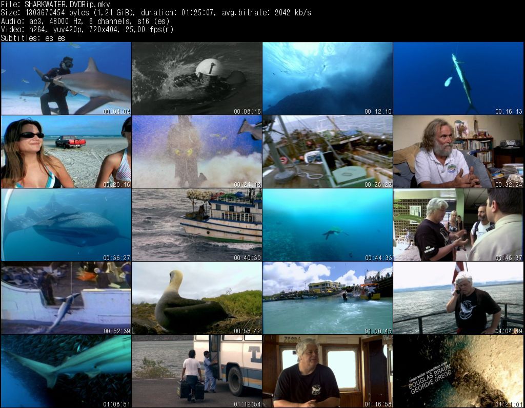 SHARKWATERDVDRip zps39jg63em - Tiburón, en las garras del hombre (2006) [DVDRip MKV H264 AC3 5.1 ES Subt.ES] [VS]