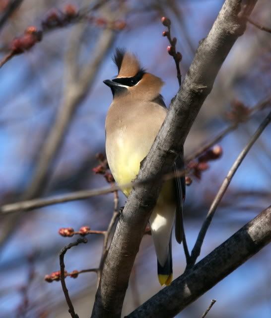 IMAGE: http://i46.photobucket.com/albums/f109/soonerjh/Picture264.jpg