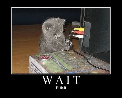 lolcats-wait.jpg