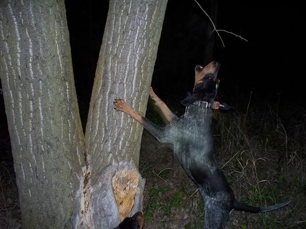 Skeeter051609.jpg