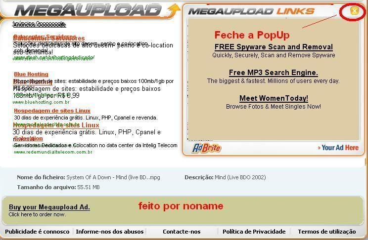 MEGAUPLOAD_2.jpg