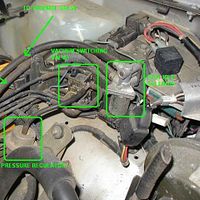 Isuzu by Ana Koenig | Photobucket