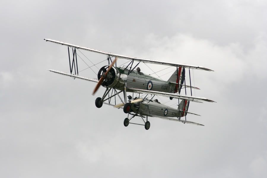 IMG_8702.jpg