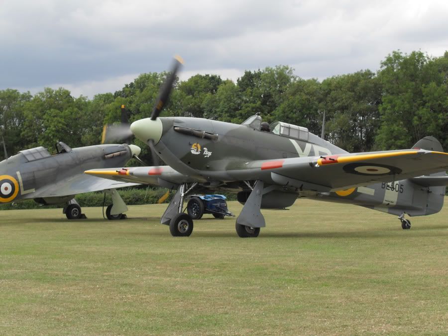 SDC11706.jpg