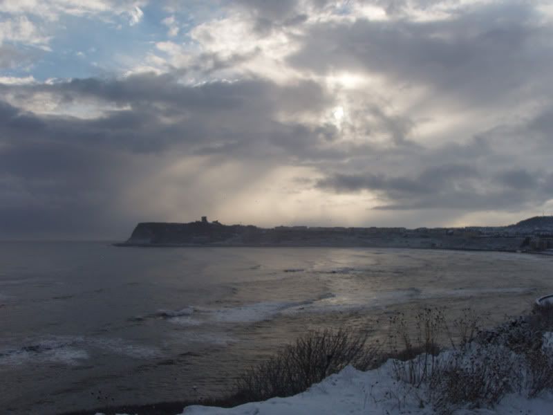 P1010056.jpg