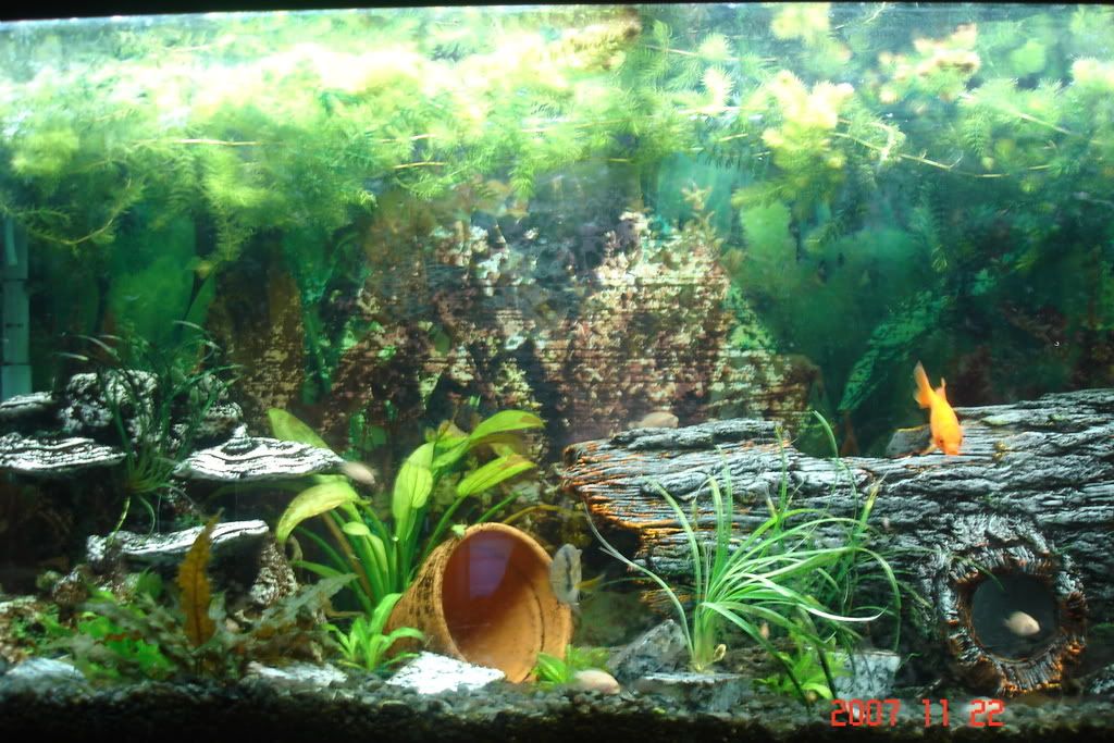 Operation OVERDRIVE (Wiring diagram Update 3-6) | Piranhas Forum