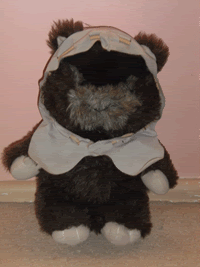 Next up we've got Wicket W. Warrick the Ewok. Ewoks are a race little hunter-gatherer teddy bears that live on the forest moon of Endor.