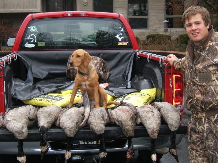 PICS Duck Hunting Forum