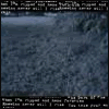 anim3.gif