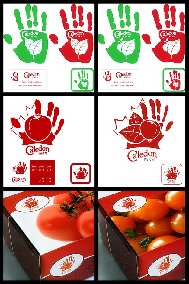 design,concept