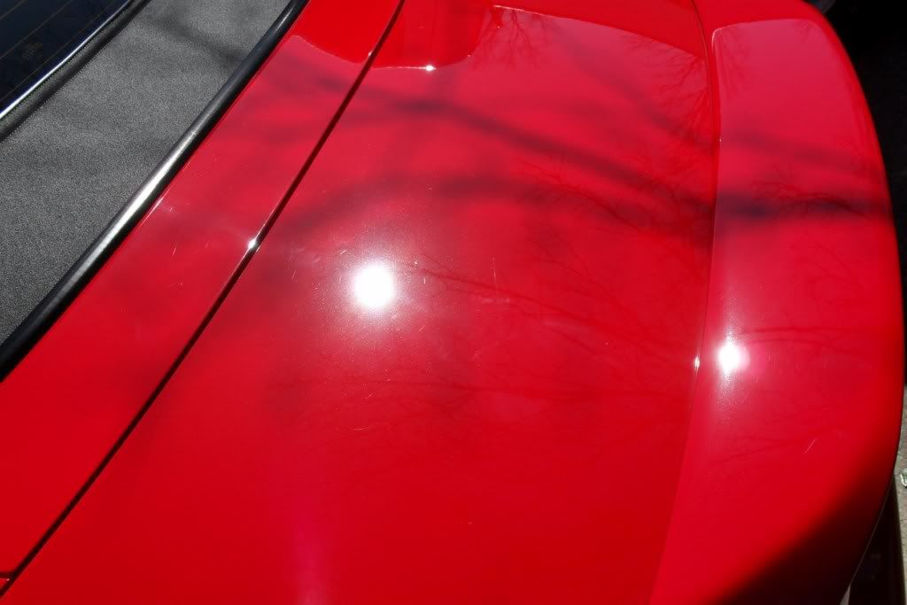 SDC109911024x768.jpg