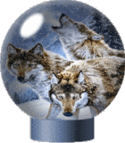 Image hosting by Photobucket