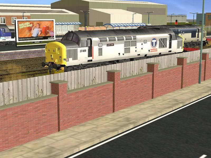 37409TR.jpg