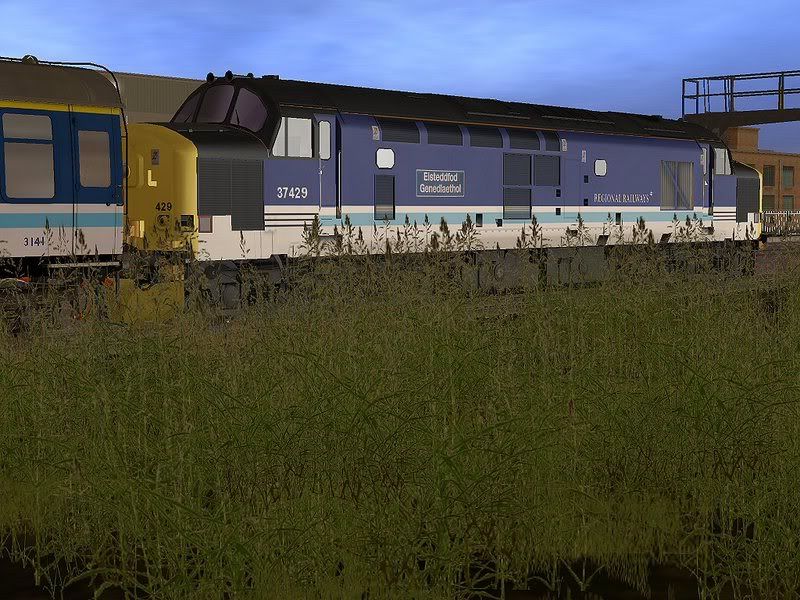 37429rr.jpg