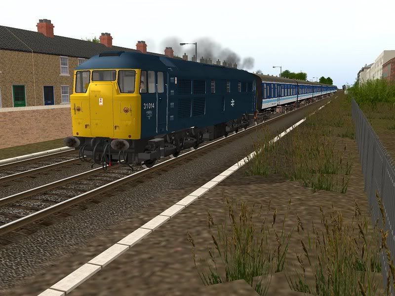 LV31014.jpg