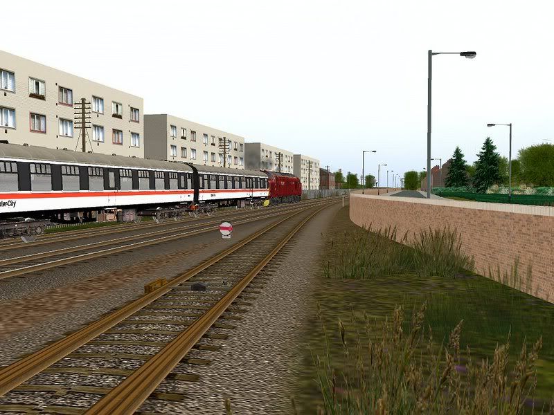 LV37214.jpg