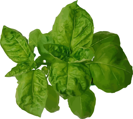basil.png image by joaniesee