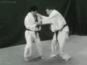 judo.gif