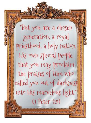 mirror1 Peter 2:9