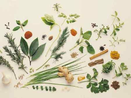 Curso de plantas medicinais Curso de plantas medicinais