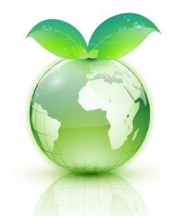 Curso de Educação Ambiental Curso de Educação Ambiental