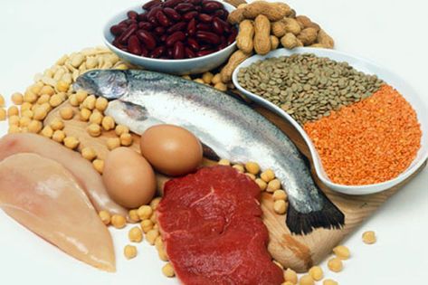 Curso de Dieta das Proteínas Curso de Dieta das Proteínas