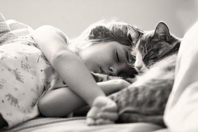 Doenças de gatos Doencas de gatos