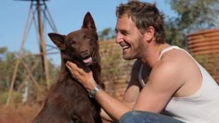 Filme Red Dog Filme Red Dog
