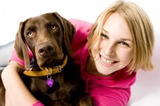 Animais de estimação Animais de estimação