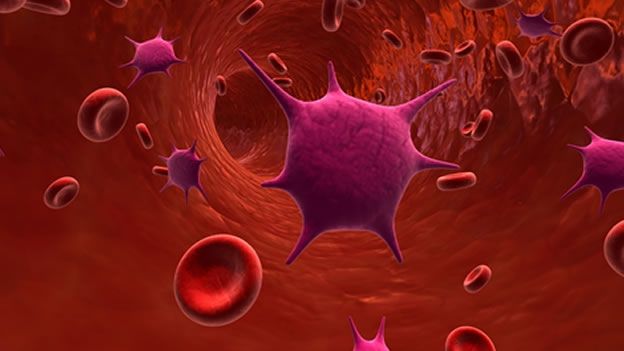 Coágulos de sangue