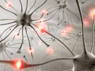 Epilepsia Epilepsia