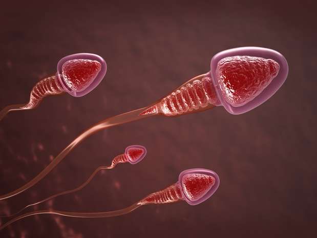 Fertilidade