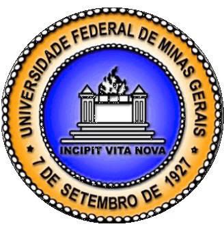 Vestibular UFMG 2013 Vestibular UFMG 2013