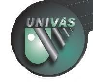 Univás - Universidade do Vale do Sapucaí Univás - Universidade do Vale do Sapucaí